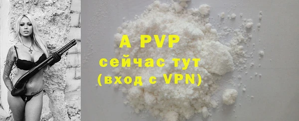 apvp Кукмор