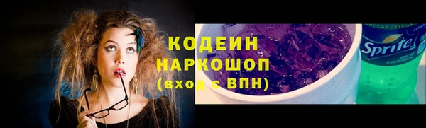 молекула духа Кулебаки
