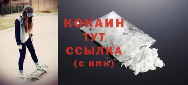 молекула духа Кулебаки