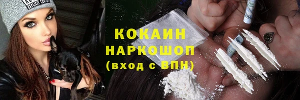 молекула духа Кулебаки