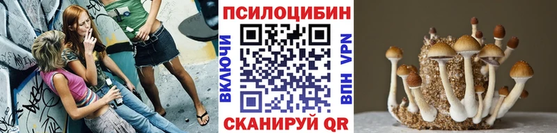 Псилоцибиновые грибы Psilocybe  сколько стоит  Новая Усмань 